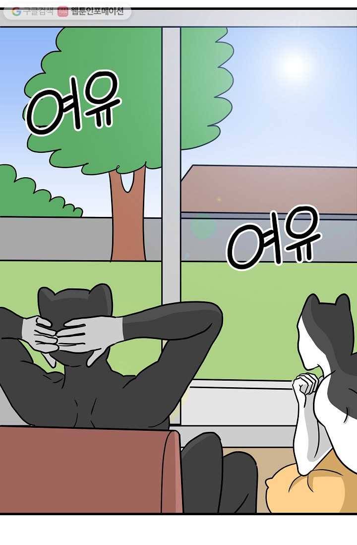 넘 많은 고양! 014화 5