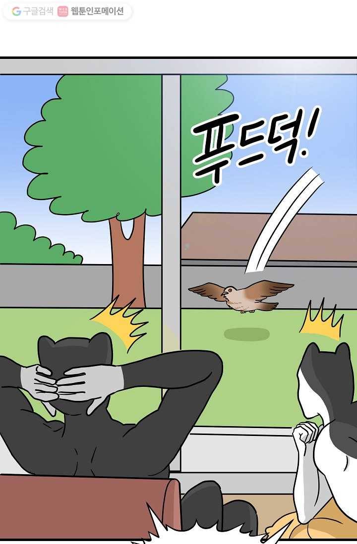넘 많은 고양! 014화 7