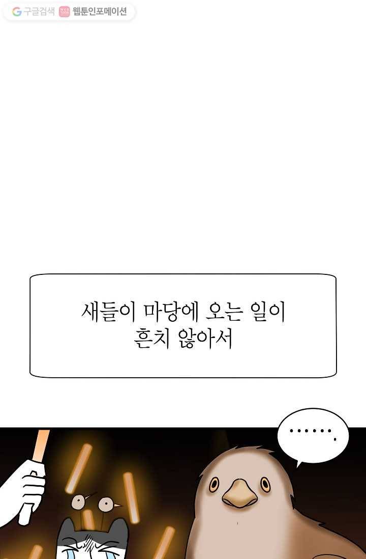 넘 많은 고양! 014화 13