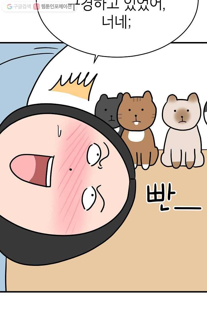 넘 많은 고양! 018화 11