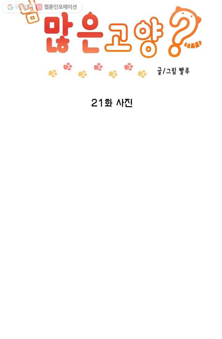 넘 많은 고양! 022화 2