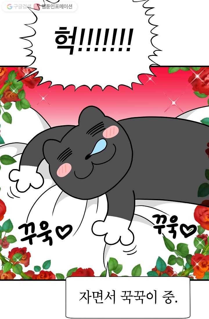 넘 많은 고양! 022화 5
