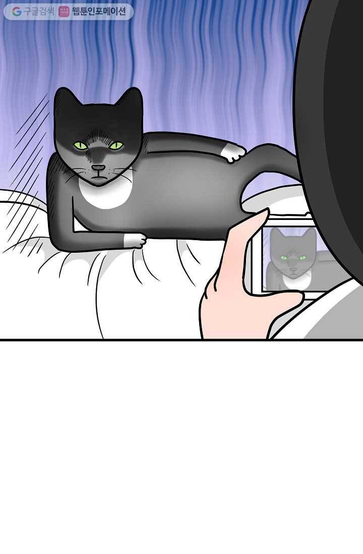 넘 많은 고양! 022화 12