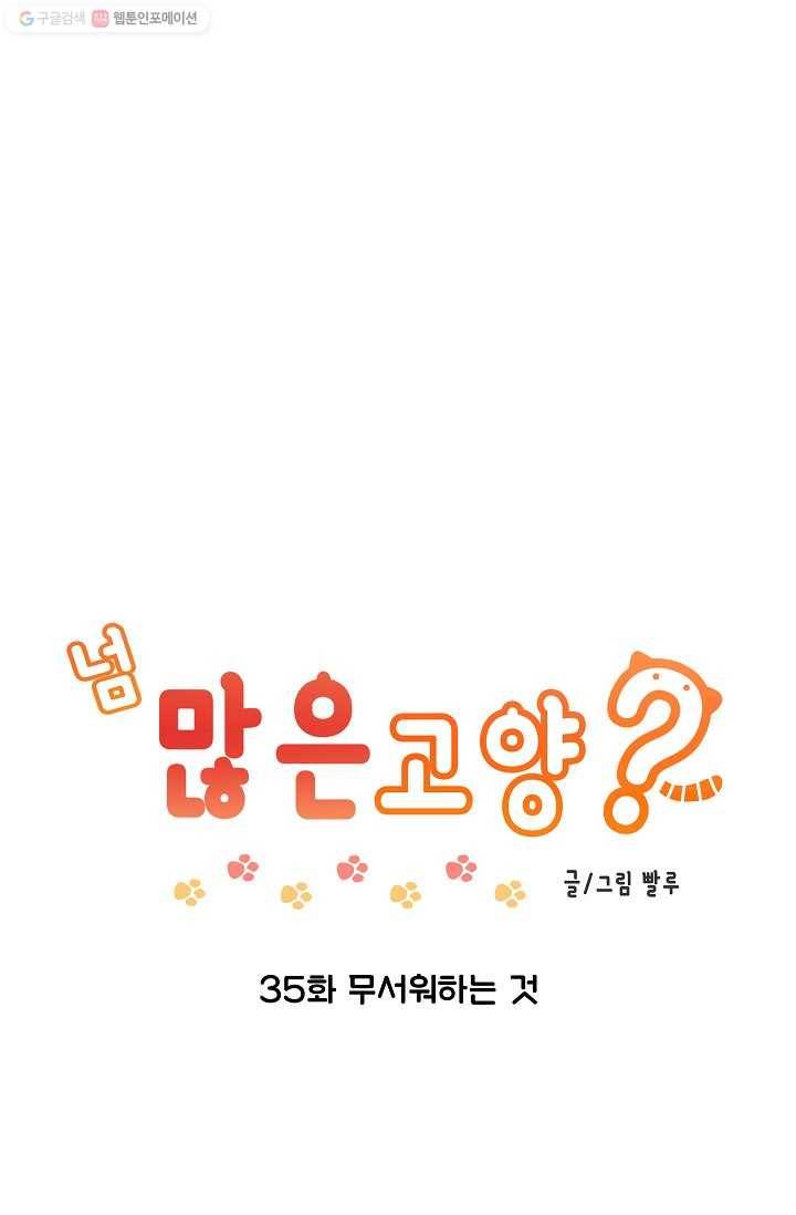 넘 많은 고양! 036화 1
