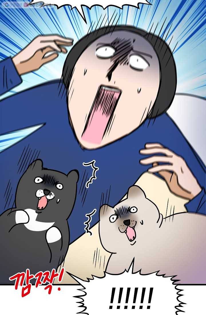 넘 많은 고양! 036화 6