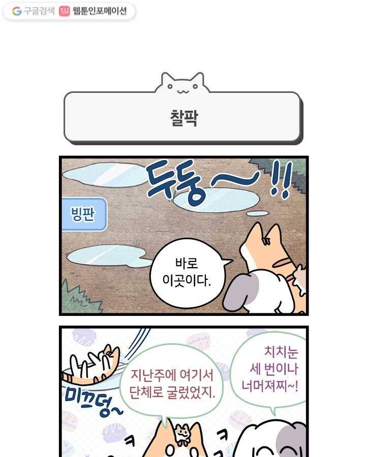 지구의 주인은 고양이다 98화 1