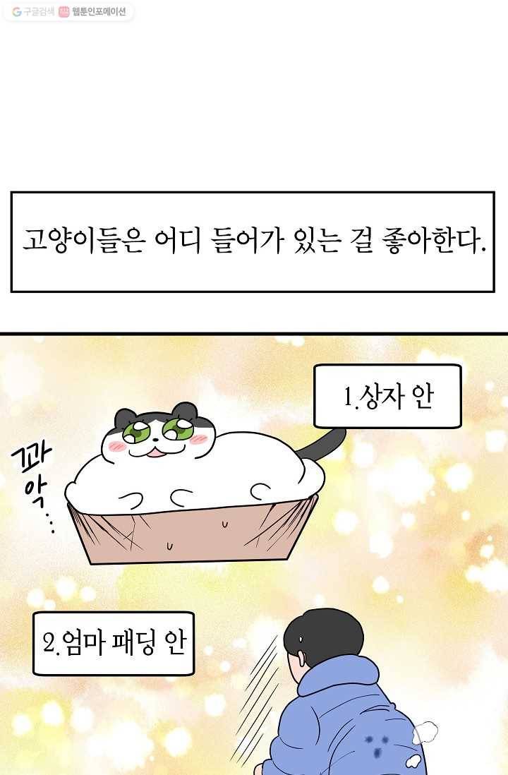 넘 많은 고양! 045화 2