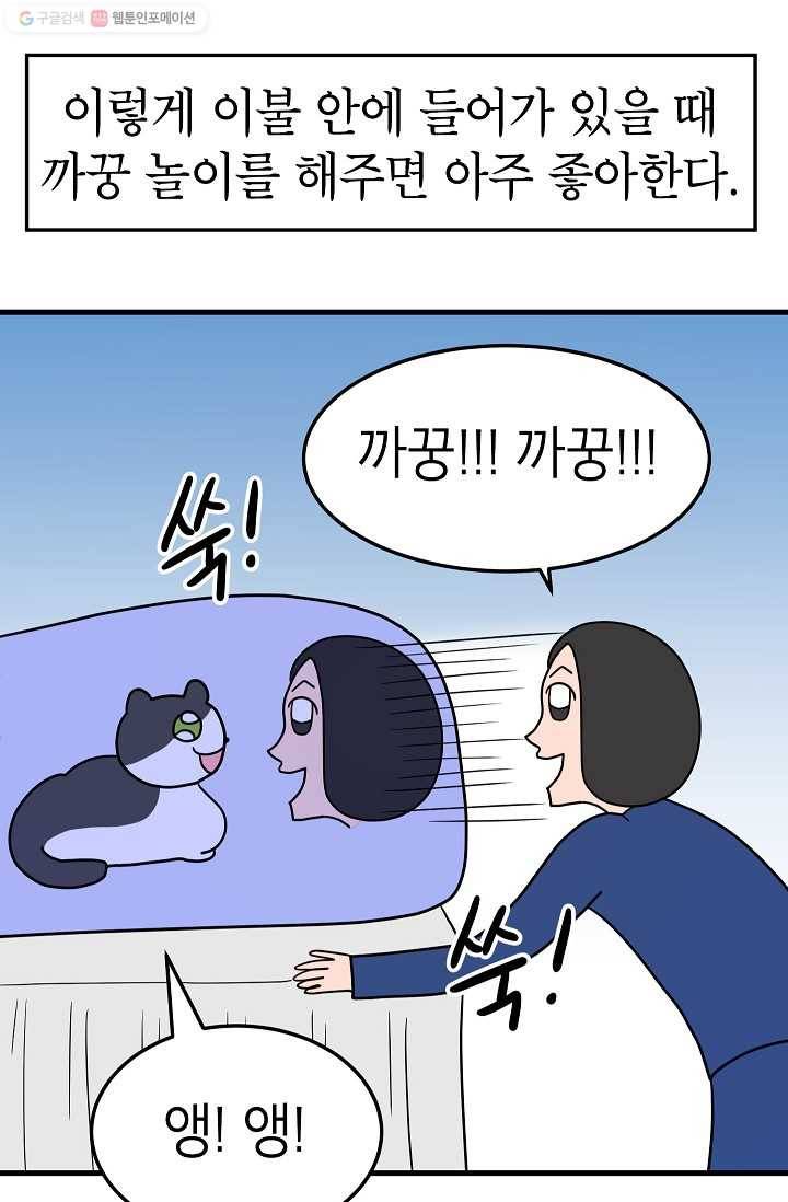 넘 많은 고양! 045화 5