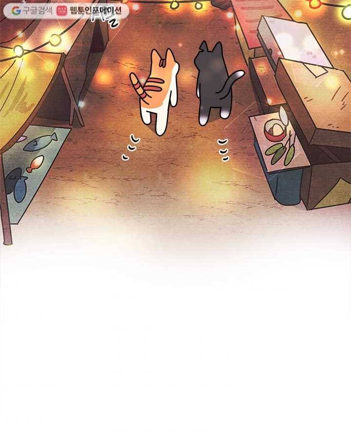 지구의 주인은 고양이다 136화 3