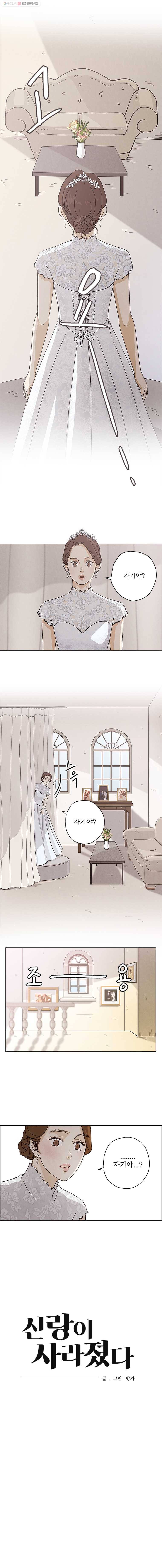 신랑이 사라졌다 1화 열 길 물 속은 알아도 한 길 사람 속은 모른다 17