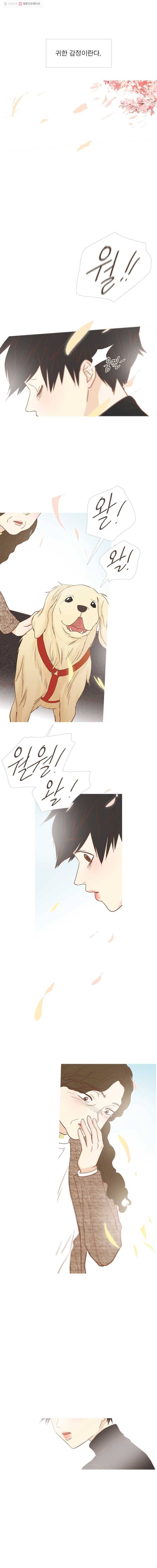 멀리서 보면 푸른 봄 준완 번외편 (5) 다시 혼자 4