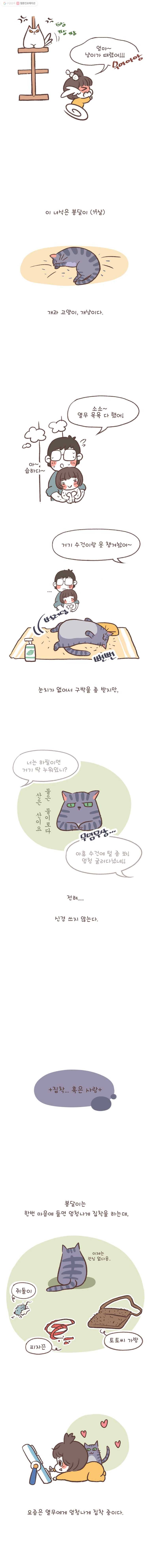 열무와 알타리 30화 냥이와 봉달이 2