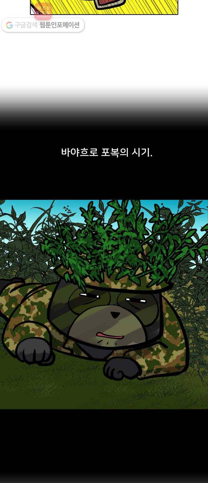 닥터앤닥터 육아일기 81. 기어다니기 1 3