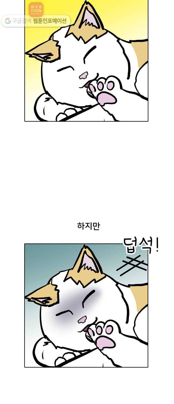 닥터앤닥터 육아일기 81. 기어다니기 1 16
