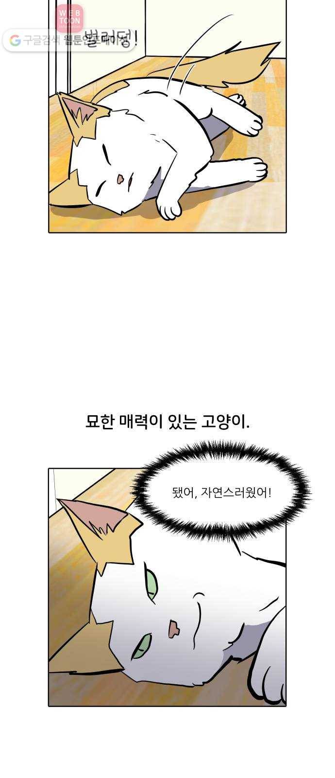 닥터앤닥터 육아일기 110. 반려동물 1 4