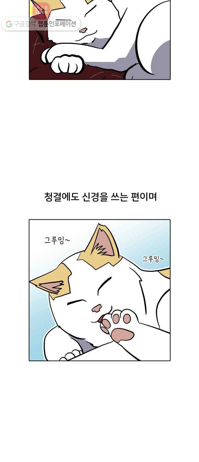 닥터앤닥터 육아일기 110. 반려동물 1 6