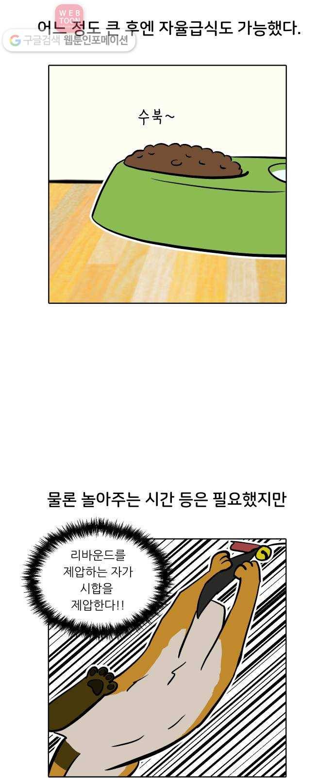 닥터앤닥터 육아일기 110. 반려동물 1 7