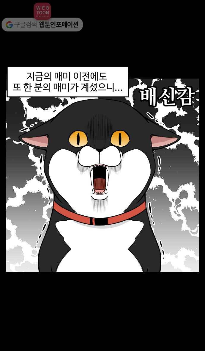 노곤하개 18화 매미의 비밀 3