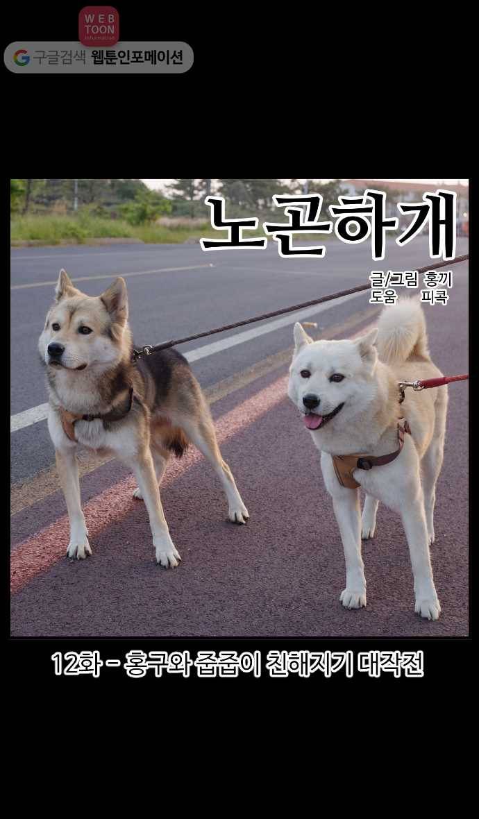 노곤하개 시즌2 12화 홍구와 줍줍이 친해지기 대작전 1