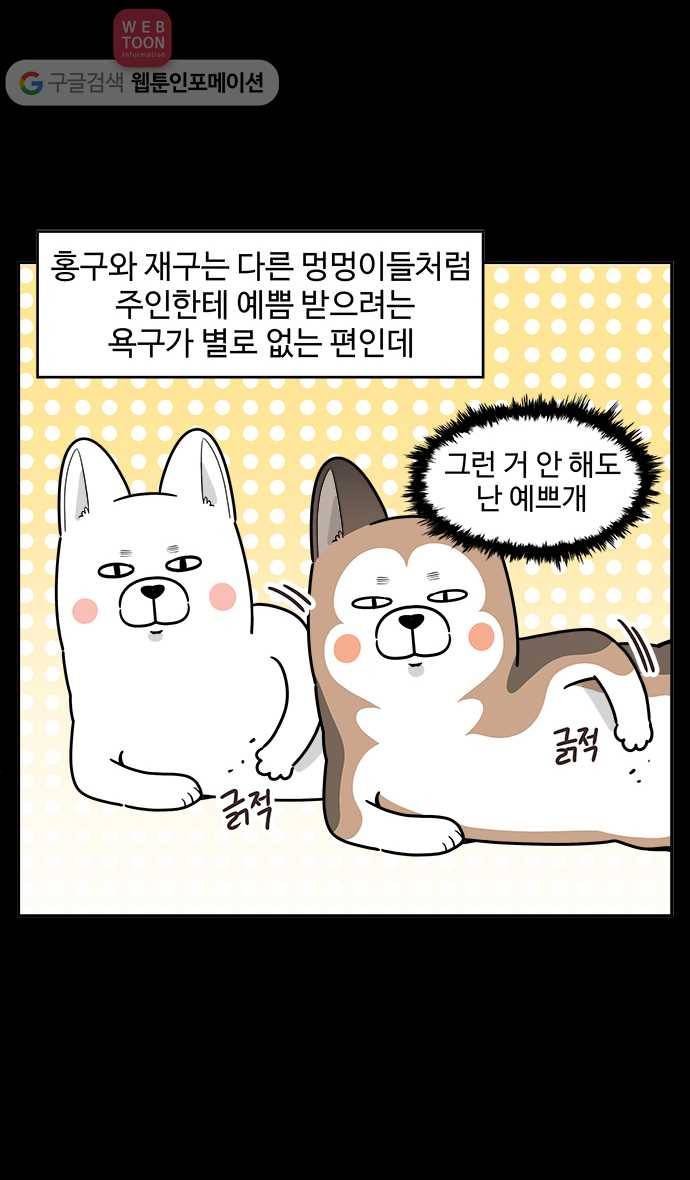 노곤하개 시즌2 12화 홍구와 줍줍이 친해지기 대작전 2