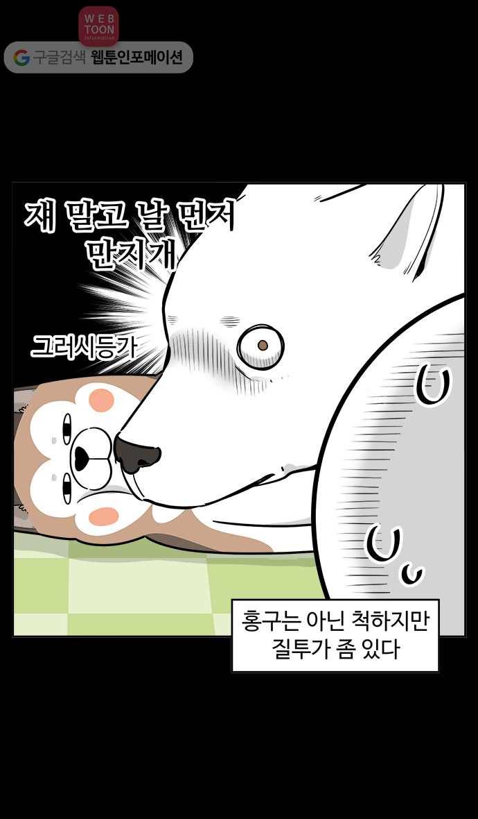 노곤하개 시즌2 12화 홍구와 줍줍이 친해지기 대작전 6