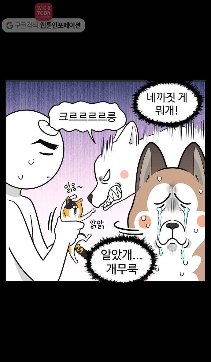 노곤하개 시즌2 12화 홍구와 줍줍이 친해지기 대작전 10