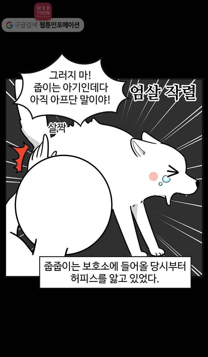 노곤하개 시즌2 12화 홍구와 줍줍이 친해지기 대작전 11