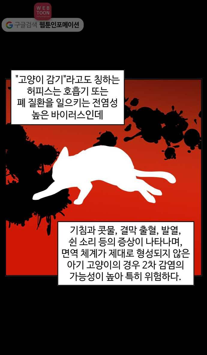 노곤하개 시즌2 12화 홍구와 줍줍이 친해지기 대작전 12