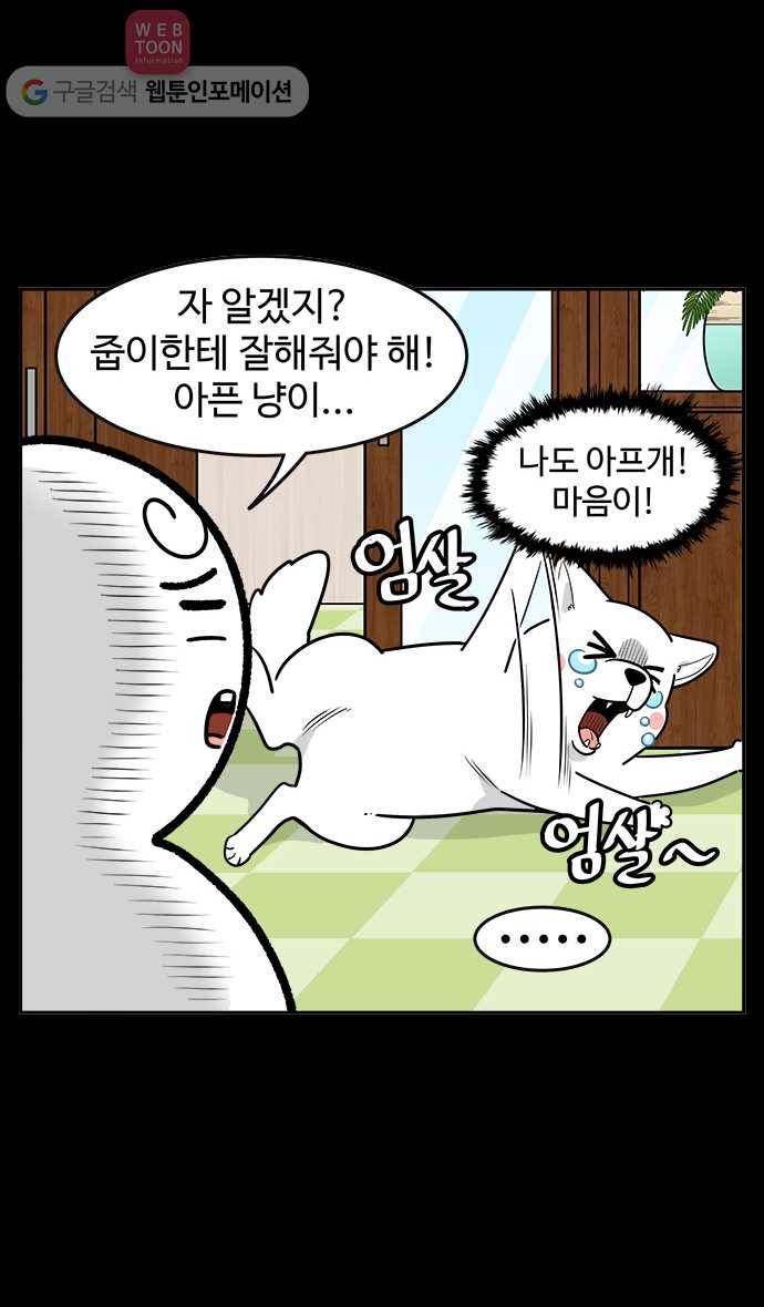노곤하개 시즌2 12화 홍구와 줍줍이 친해지기 대작전 13