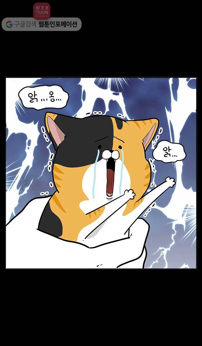 노곤하개 시즌2 12화 홍구와 줍줍이 친해지기 대작전 19