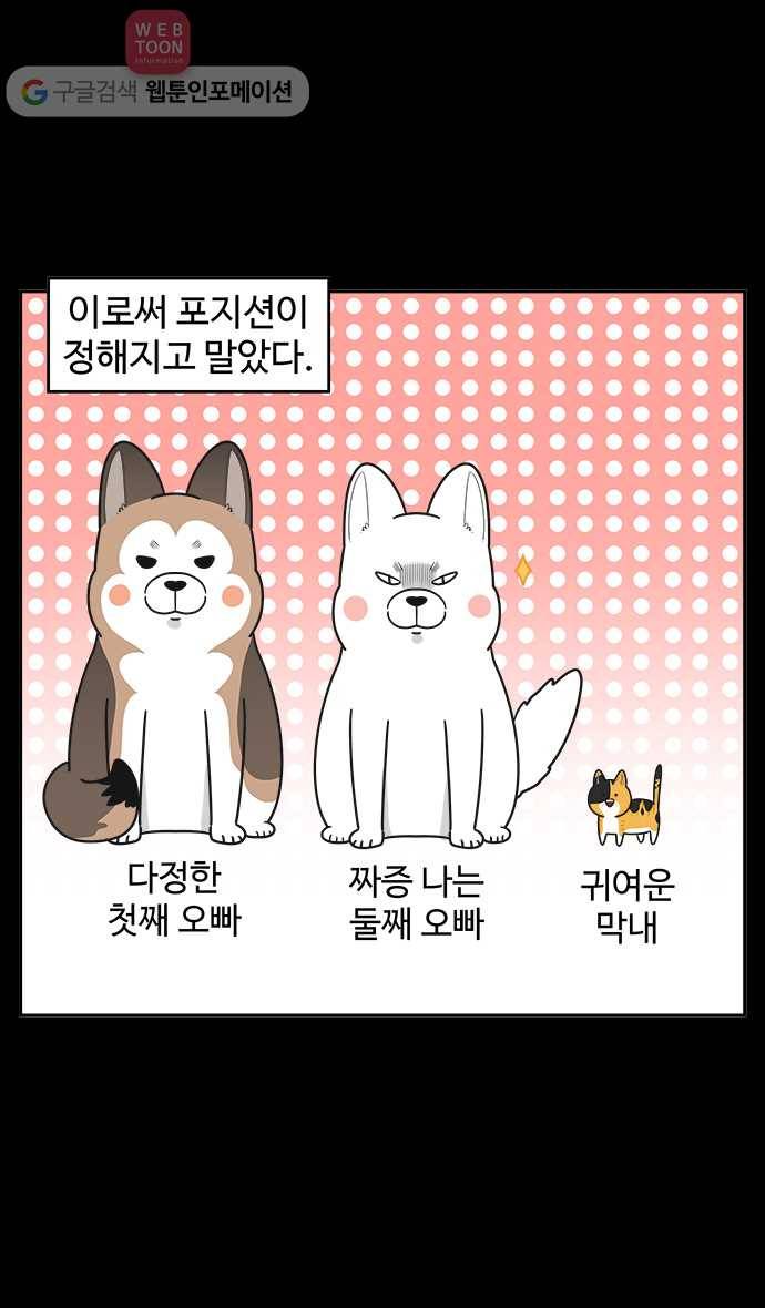 노곤하개 시즌2 12화 홍구와 줍줍이 친해지기 대작전 24