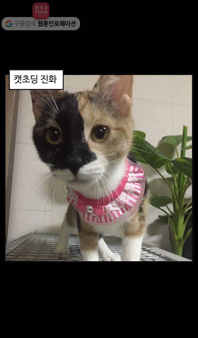노곤하개 시즌2 12화 홍구와 줍줍이 친해지기 대작전 27