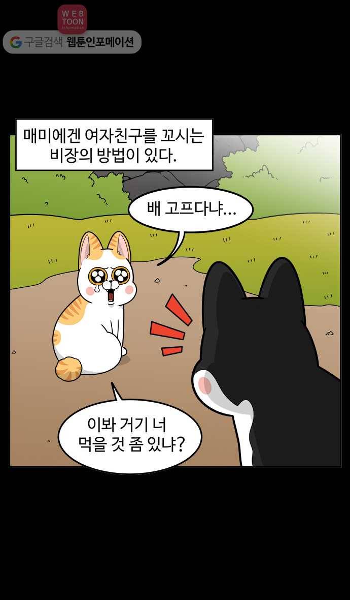 노곤하개 시즌2 18화 매미가 여자친구를 꼬시는 방법 2