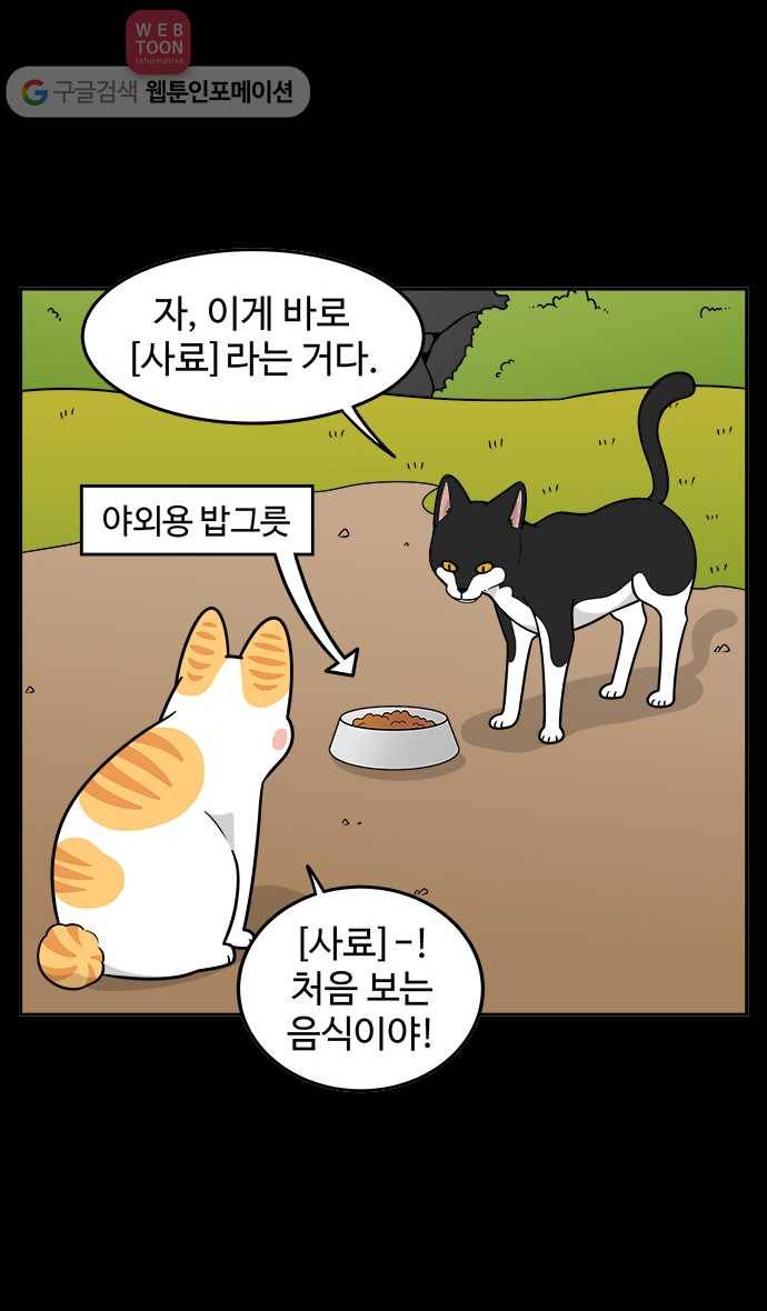 노곤하개 시즌2 18화 매미가 여자친구를 꼬시는 방법 6