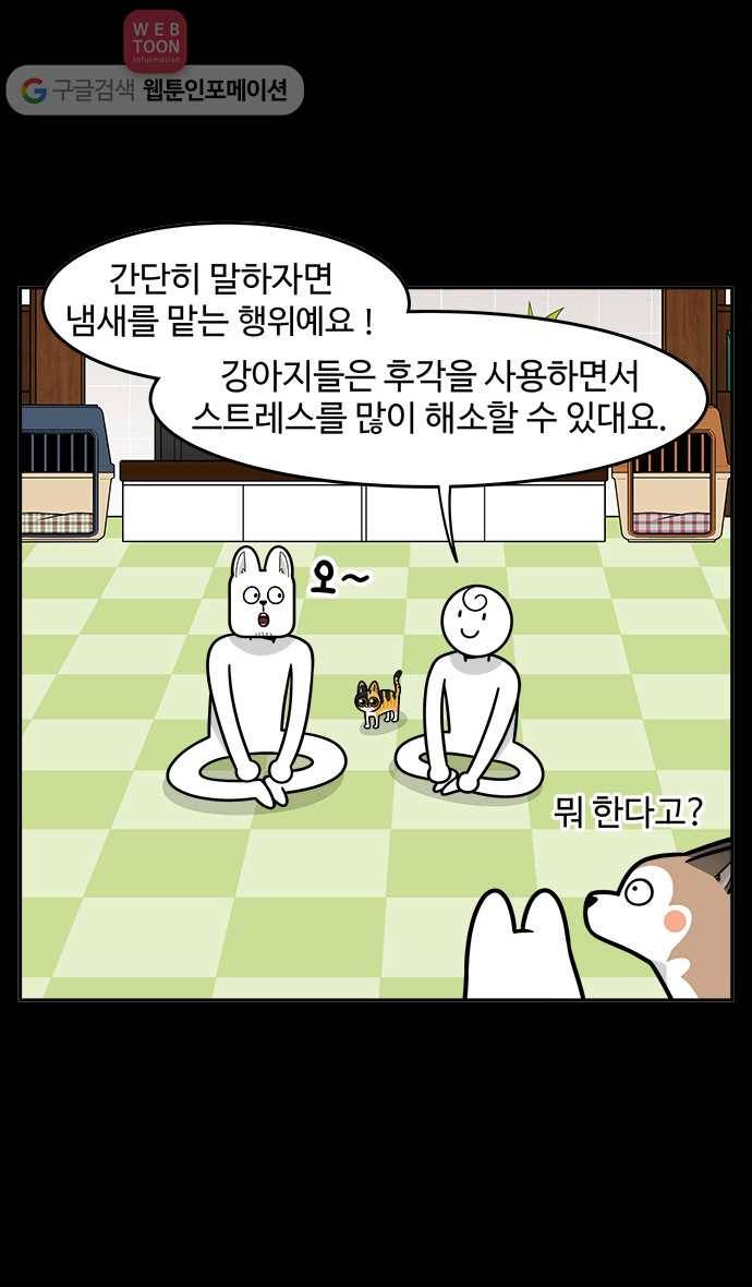 노곤하개 시즌2 24화 노즈 워크를 해 보자! 3