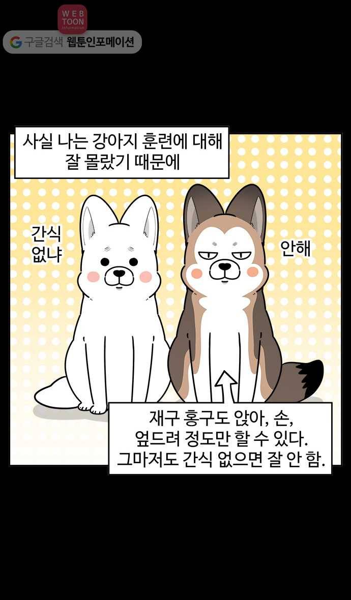 노곤하개 시즌2 67화 유기견 힝구 (3) 2