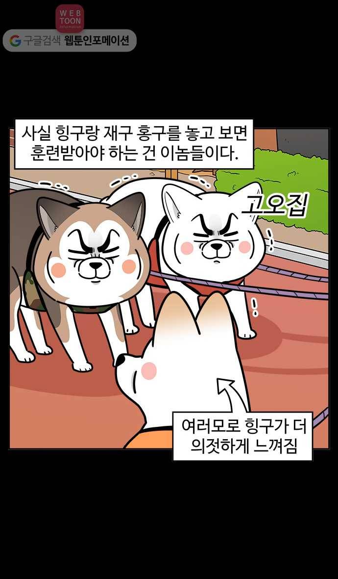 노곤하개 시즌2 67화 유기견 힝구 (3) 4
