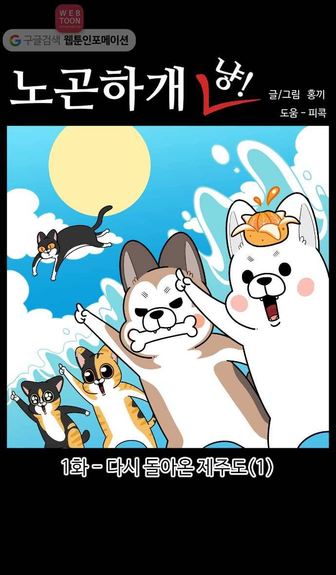 노곤하개 시즌3 1화 다시 돌아온 제주도(1) 1