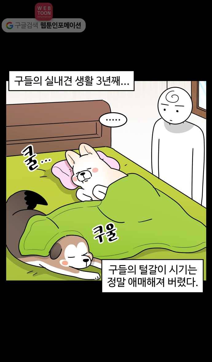 노곤하개 시즌3 21화 실내견의 털갈이 2