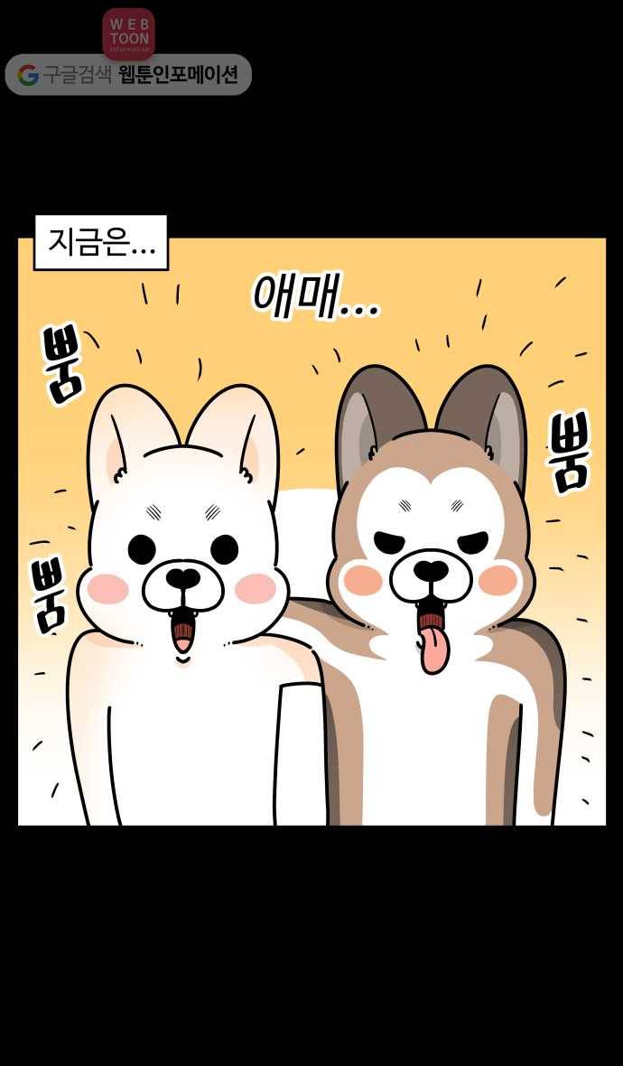 노곤하개 시즌3 21화 실내견의 털갈이 4