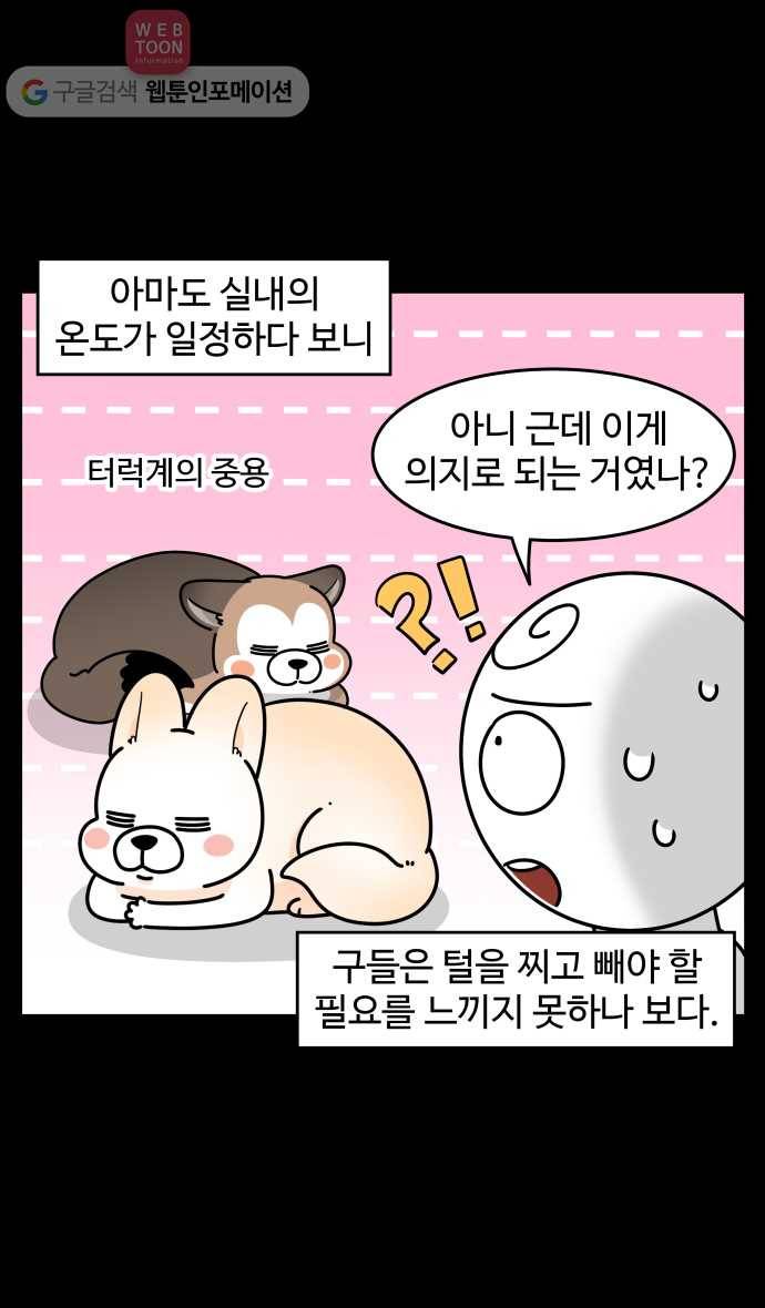 노곤하개 시즌3 21화 실내견의 털갈이 5