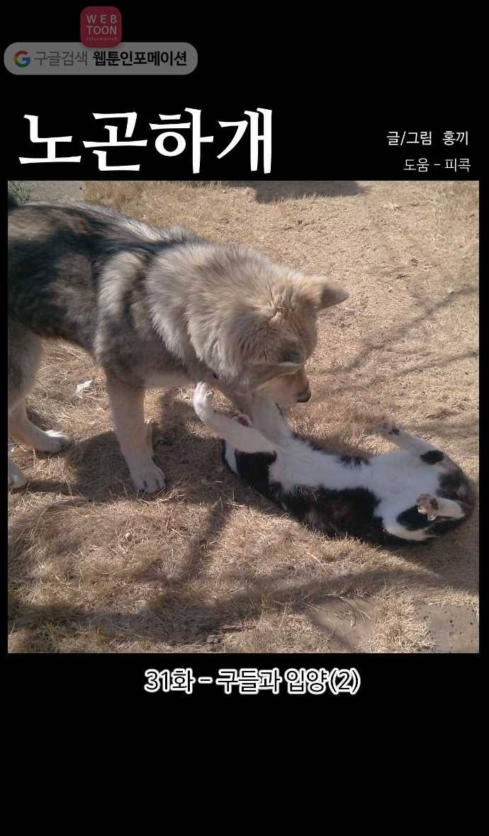 노곤하개 시즌3 31화 구들과 입양(2) 1