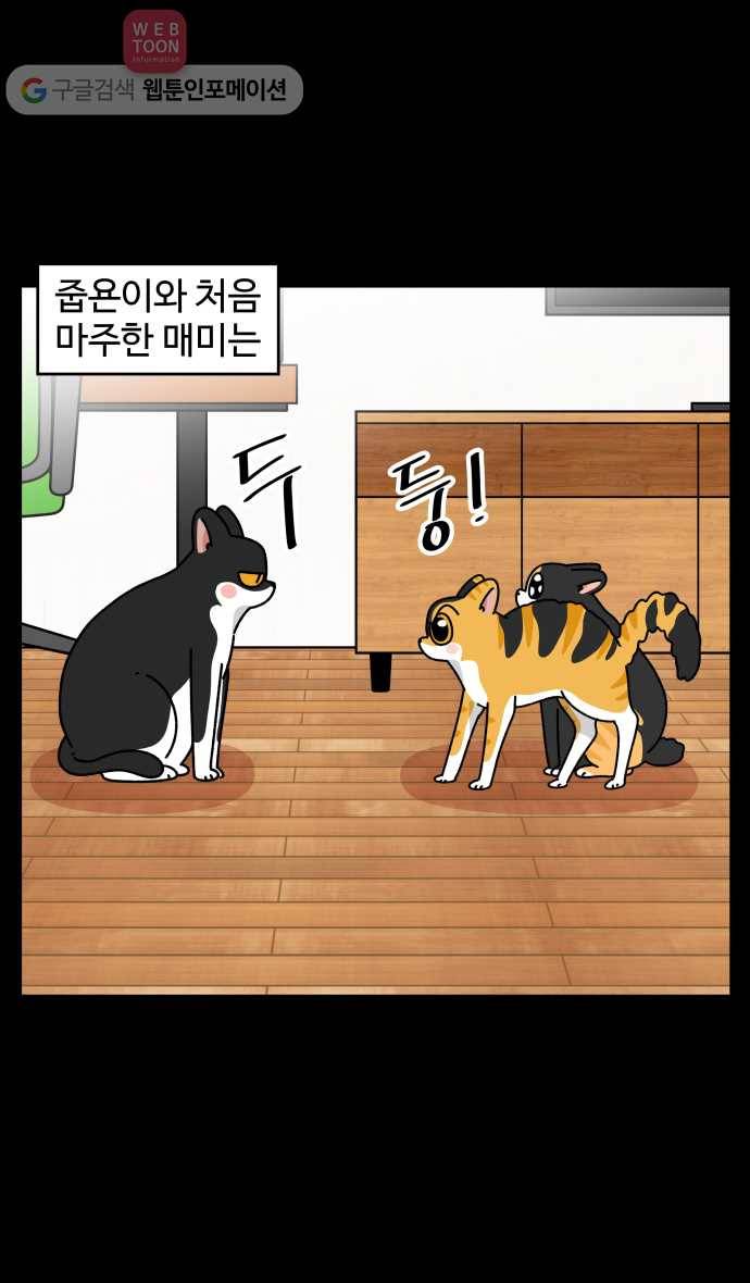 노곤하개 시즌3 41화 줍욘이 매미와 만나다 (2) 2
