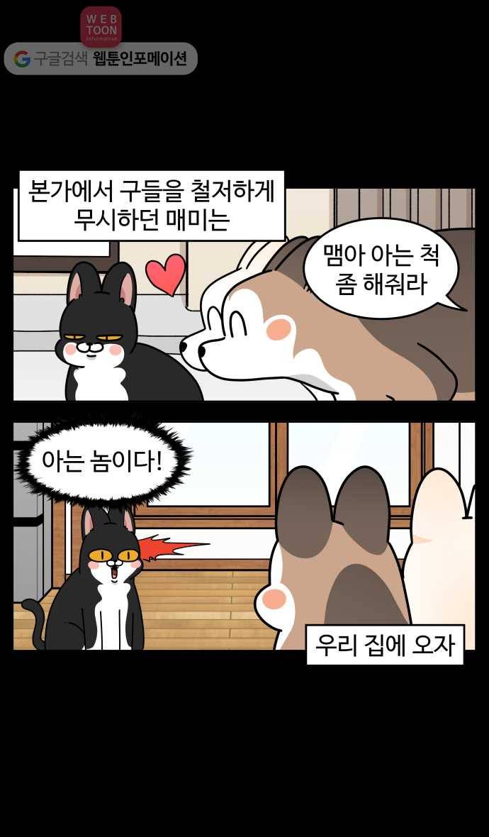 노곤하개 시즌3 41화 줍욘이 매미와 만나다 (2) 5