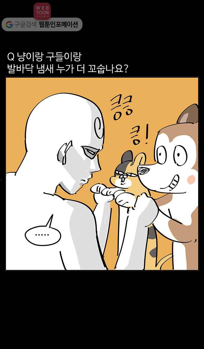 노곤하개 시즌3 후기 5