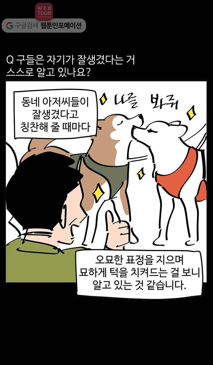 노곤하개 시즌3 후기 7