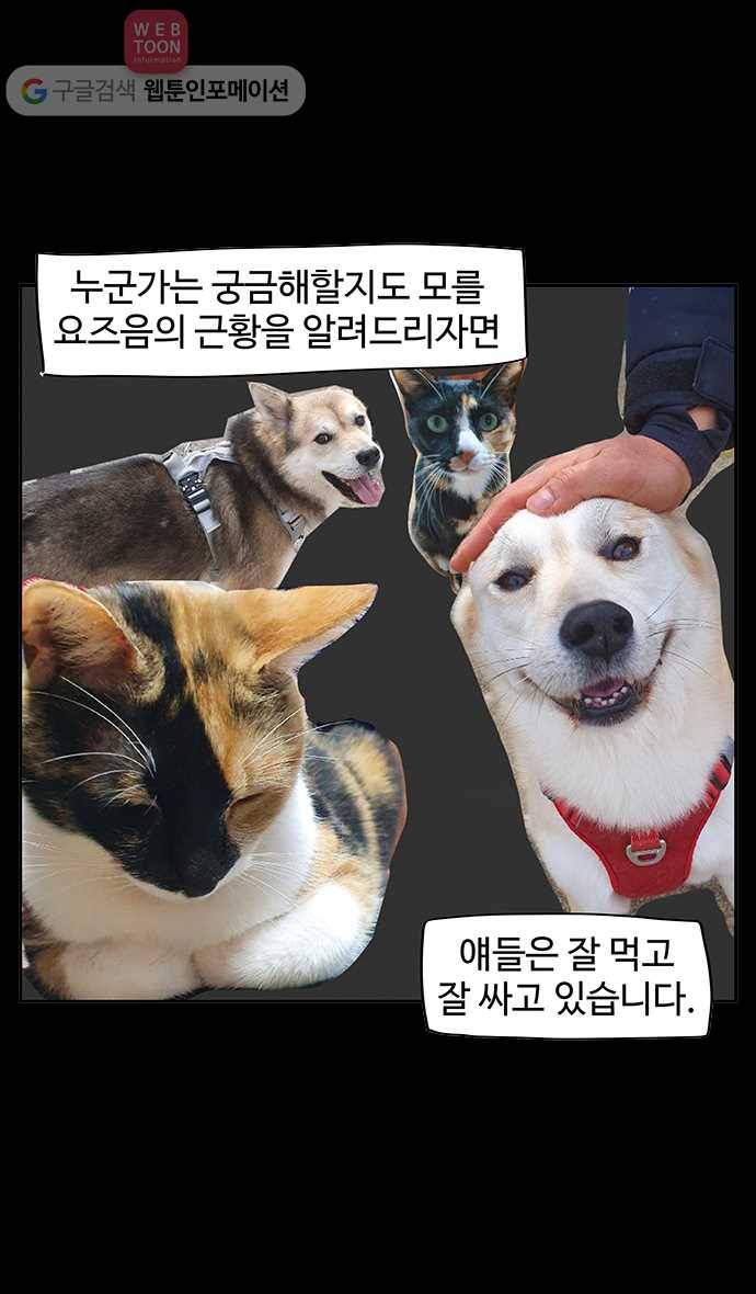 노곤하개 시즌3 후기 13