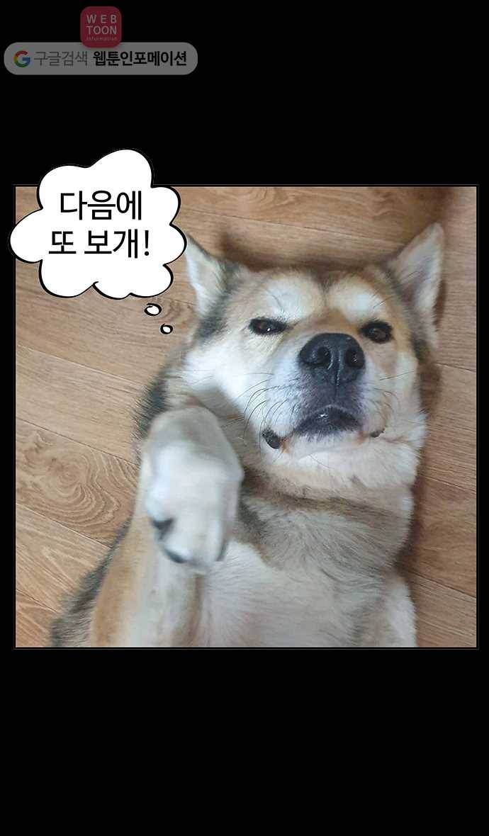노곤하개 시즌3 후기 19