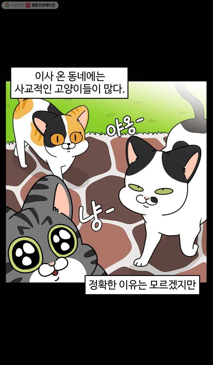 노곤하개 시즌4 29화 시골 마을의 인싸냥 2