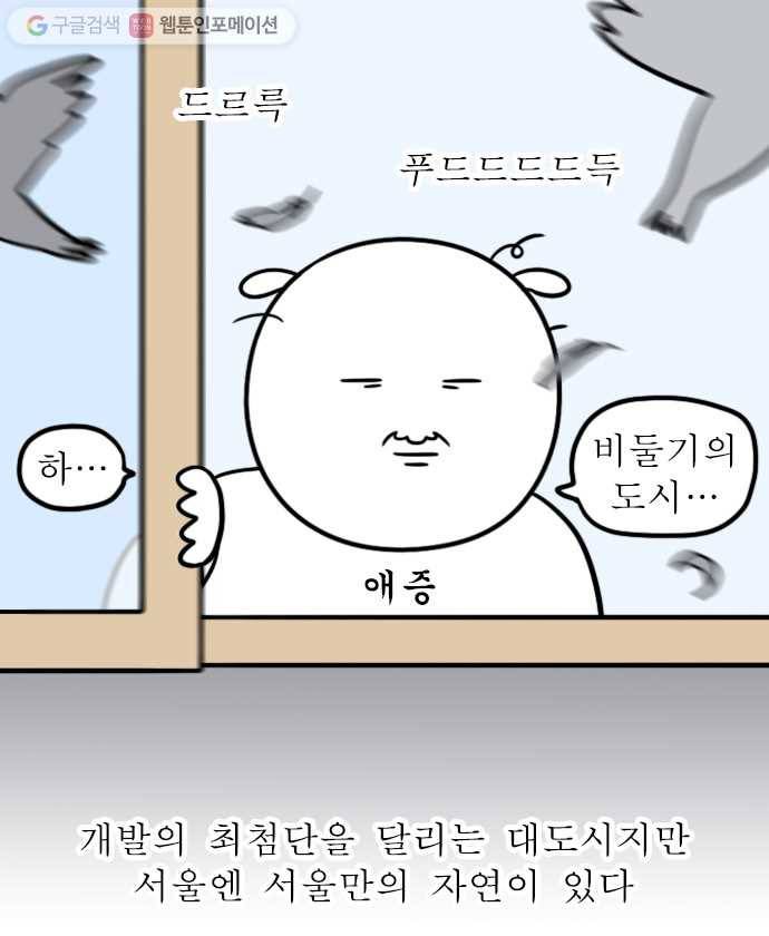 독립일기 40화 서울의 자연 9